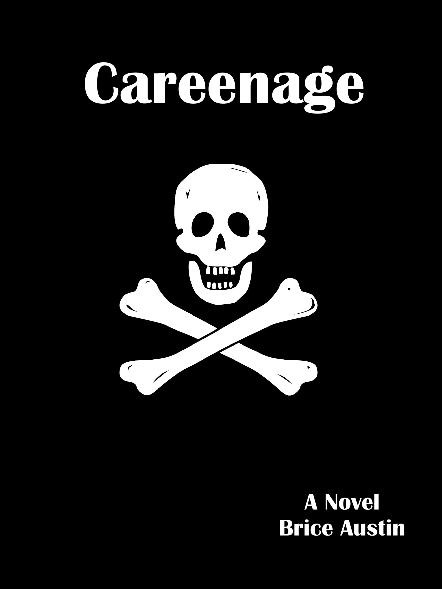 Careenage Cover